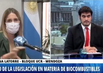 DIPUTADOS OPINARON SOBRE EL PROYECTO DE LEY DE BIOCOMBUSTIBLES