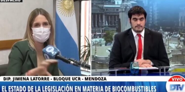 DIPUTADOS OPINARON SOBRE EL PROYECTO DE LEY DE BIOCOMBUSTIBLES