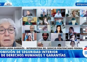 AVANZA EN DIPUTADOS EL DEBATE DEL PROYECTO DE LEY INTEGRAL CONTRA LA VIOLENCIA INSTITUCIONAL