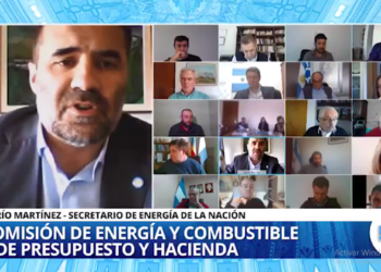 EL SECRETARIO DE ENERGÍA DEFENDIÓ NUEVO MARCO REGULATORIO DE BIOCOMBUSTIBLES EN DIPUTADOS