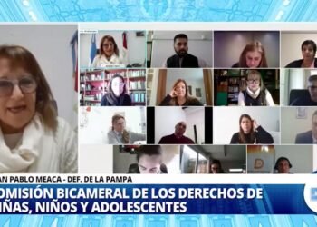 Diputados: Representantes de las Defensorías Provinciales expusieron sobre la Niñez y la Adolescencia