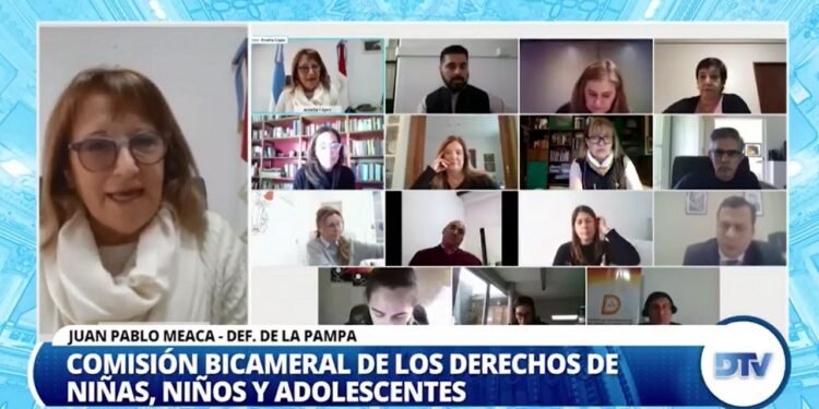 Diputados: Representantes de las Defensorías Provinciales expusieron sobre la Niñez y la Adolescencia