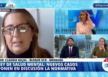 DIPUTADOS SE REFIRIERON A LA NECESIDAD DE TRABAJAR EN LA LEY DE SALUD MENTAL.