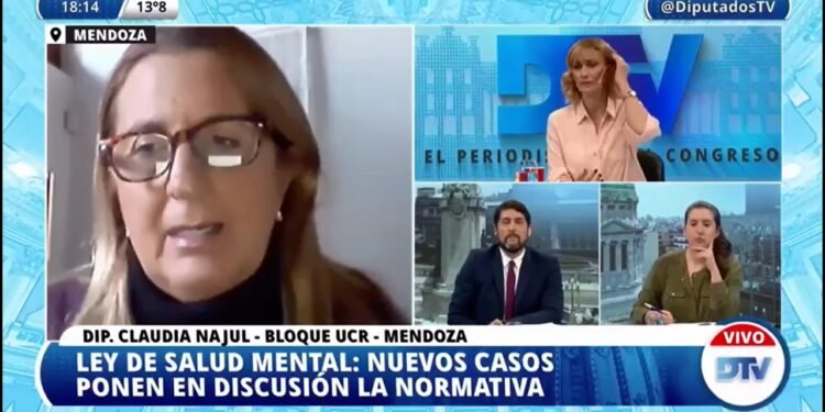 DIPUTADOS SE REFIRIERON A LA NECESIDAD DE TRABAJAR EN LA LEY DE SALUD MENTAL.