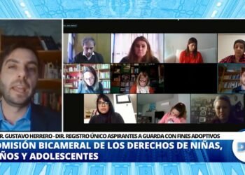 DIPUTADOS ANALIZÓ LOS SISTEMAS DE ADOPCIÓN