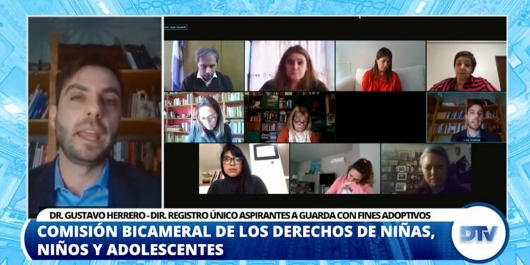 DIPUTADOS ANALIZÓ LOS SISTEMAS DE ADOPCIÓN