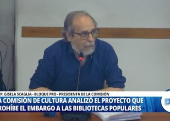 DIPUTADOS AVANZA PARA DECLARAR INEMBARGABLES A LAS BIBLIOTECAS POPULARES