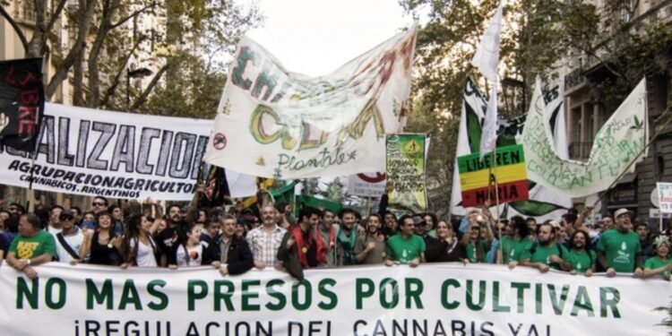 Organizaciones cannábicas realizan la Marcha Nacional de la Marihuana