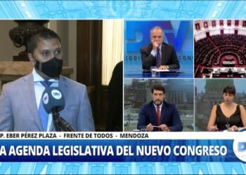 Diputados: La agenda legislativa en el nuevo congreso