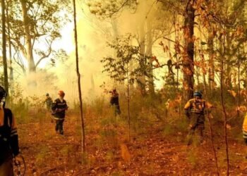 El 80% de los incendios fueron extinguidos y se espera un frente de tormenta