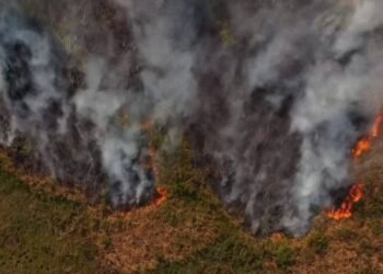 El Gobierno declaró el estado de emergencia y de desastre agropecuario en Corrientes