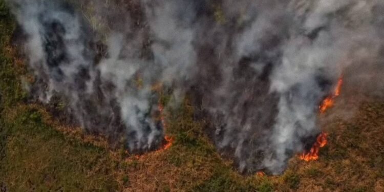 El Gobierno declaró el estado de emergencia y de desastre agropecuario en Corrientes