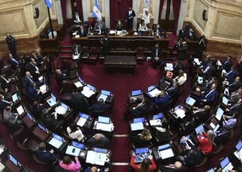 El Senado aprobó la creación de la Región del Norte Grande Argentino