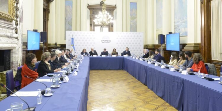 Diputados organizó la jornada “Esclerosis Múltiple: Escenario actual en Argentina”
