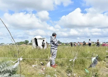Un juez de Mar del Plata falló en contra del desalojo de un predio municipal y ordenó que se les suministre alimento a los usurpadores