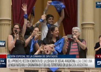 Diputados reconoció la lengua de señas Argentina y aprobó alcohol cero al volante