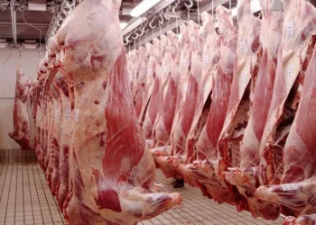 Las exportaciones de carne del Mercosur alcanzaron en 2022 un récord histórico, pero la participación argentina fue la menor de los últimos 4 años