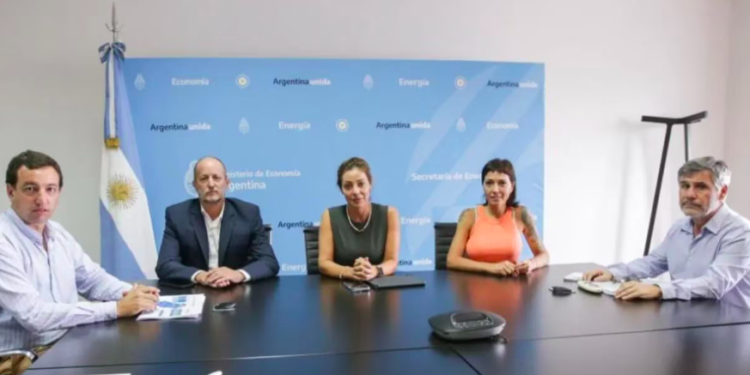 El Gobierno denunciará a Edesur por malversación de fondos, fraude y abandono de persona