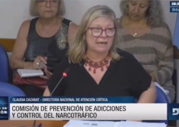 Diputados: organizaciones y expertos discutieron en comisión la situación actual de la ley sobre salud mental