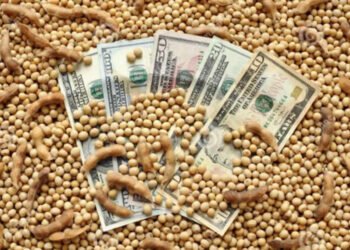 FMI: el acuerdo abre la puerta a otro “dólar soja” pero el Gobierno deberá acelerar la quita de subsidios