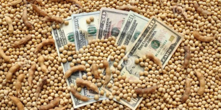 FMI: el acuerdo abre la puerta a otro “dólar soja” pero el Gobierno deberá acelerar la quita de subsidios