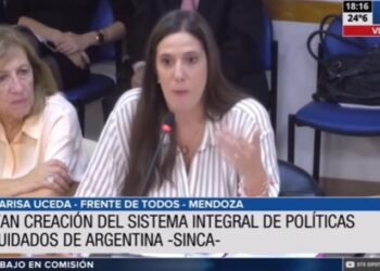 En plenario de Diputados, se inició el debate sobre tareas de cuidado