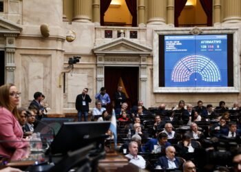 DIPUTADOS SANCIONÓ LA LEY DE ALQUILERES Y APROBÓ EL PROGRAMA “COMPRE SIN IVA”