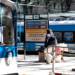 Aumentan los trenes y colectivos y empieza un período para llevar el boleto al triple a partir de febrero