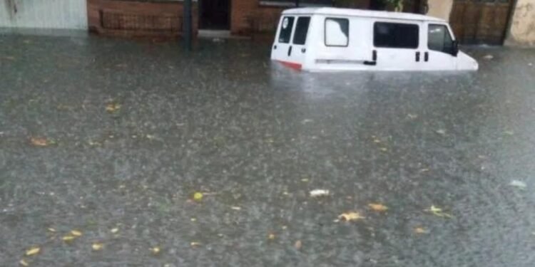 Temporal en CABA: árboles caídos, calles anegadas y vuelos desviados