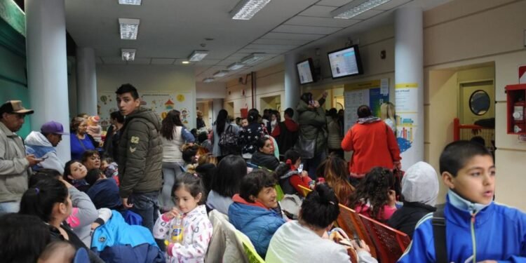 Epidemia dengue: fuerte aumento de consultas en las unidades febriles de los hospitales del AMBA