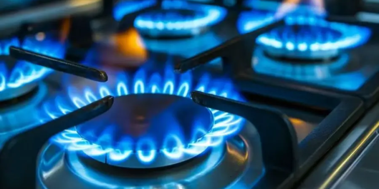 El Gobierno podría cortar el gas en algunas empresas ante las bajas temperaturas