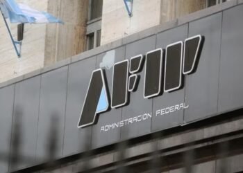 La AFIP publicó todo lo que sabe sobre cada contribuyente