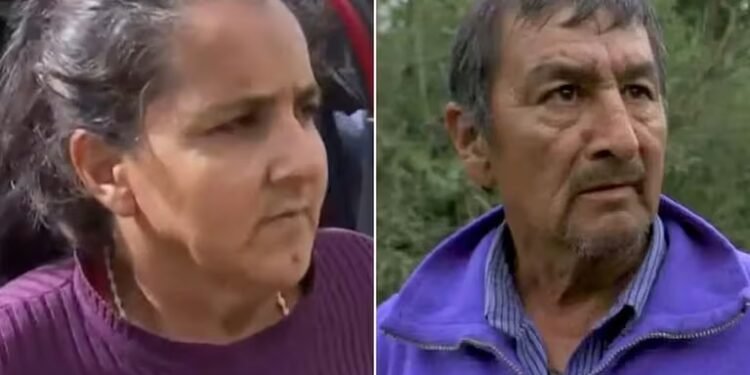 Caso Loan: le tomaron pruebas de ADN a los padres