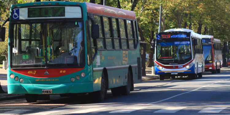 Milei confirma la quita de subsidios a los colectivos