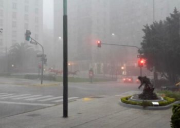 Alerta amarilla por la niebla en la Ciudad de Buenos Aires