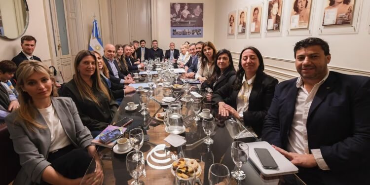 Veto de Javier Milei a financiamiento universitario: el PRO mantiene indefinición, UCR pide sostener la ley