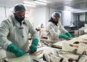 Senasa implementa mejoras en los certificados sanitarios digitalizados para los productos de origen animal y pesquero