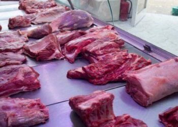 El consumo de carne en la Argentina bajó a números históricos