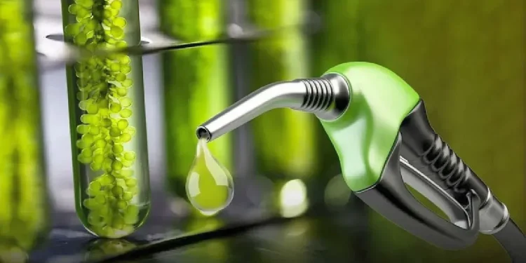 El Gobierno nacional oficializó un aumento de los biocombustibles a través de dos resoluciones de la Secretaría de Coordinación de Energía y Minería