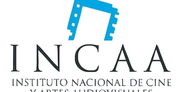 El Gobierno de Javier Milei dispuso la eliminación de aportes económicos al cine argentino por medio de una resolución del Instituto Nacional de Cine y Artes Audiovisuales (INCAA)