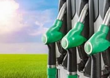 Presentan un proyecto que establece un Marco Regulatorio para la producción de Biocombustibles