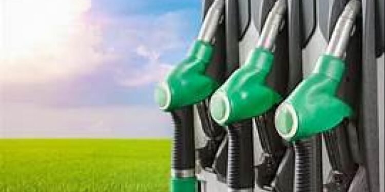 Presentan un proyecto que establece un Marco Regulatorio para la producción de Biocombustibles