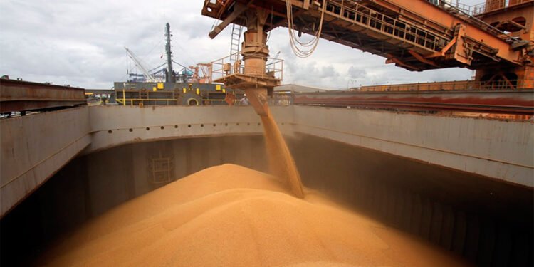 Agrodólares: La soja también tiene un rol clave para Argentina porque exporta el 80% de su producción