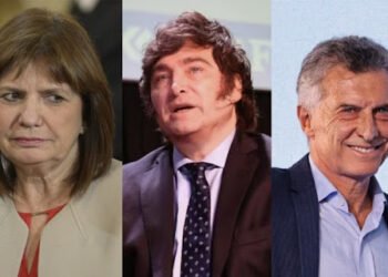 La ministra Patricia Bullrich le marca la cancha a Mauricio Macri y al PRO