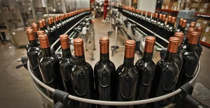 Balance positivo para el vino en 2024, las exportaciones crecieron 5,6%