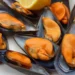 Newsan anunció que exportará mejillones, la primera vez made in Argentina
