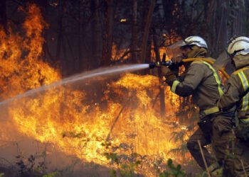 Bullrich y Petri dicen presentes en El Bolsón, una de las áreas más afectadas por los incendios forestales