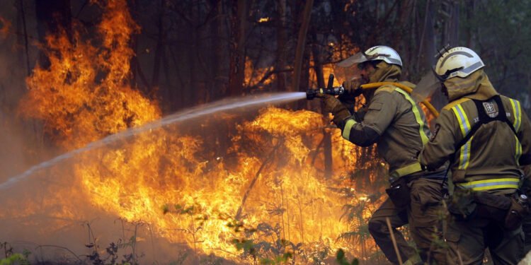 Bullrich y Petri dicen presentes en El Bolsón, una de las áreas más afectadas por los incendios forestales