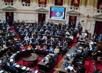 La Ciudad también suspendió las PASO de este año