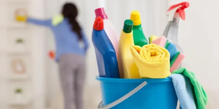 Salarios: cuánto cobrarán las empleadas domésticas en marzo 2025